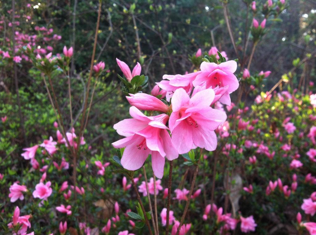 A(nother) Conversation with Connie&nbsp;Wilson…